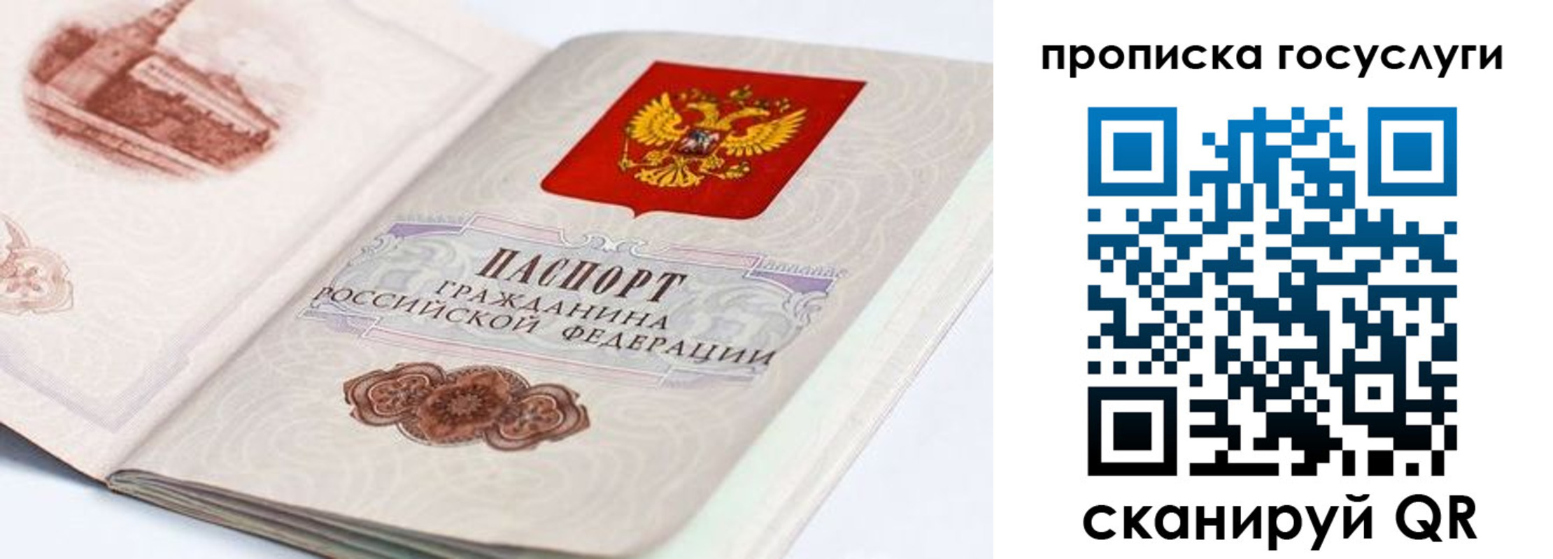 прописка регистрация в Тереке